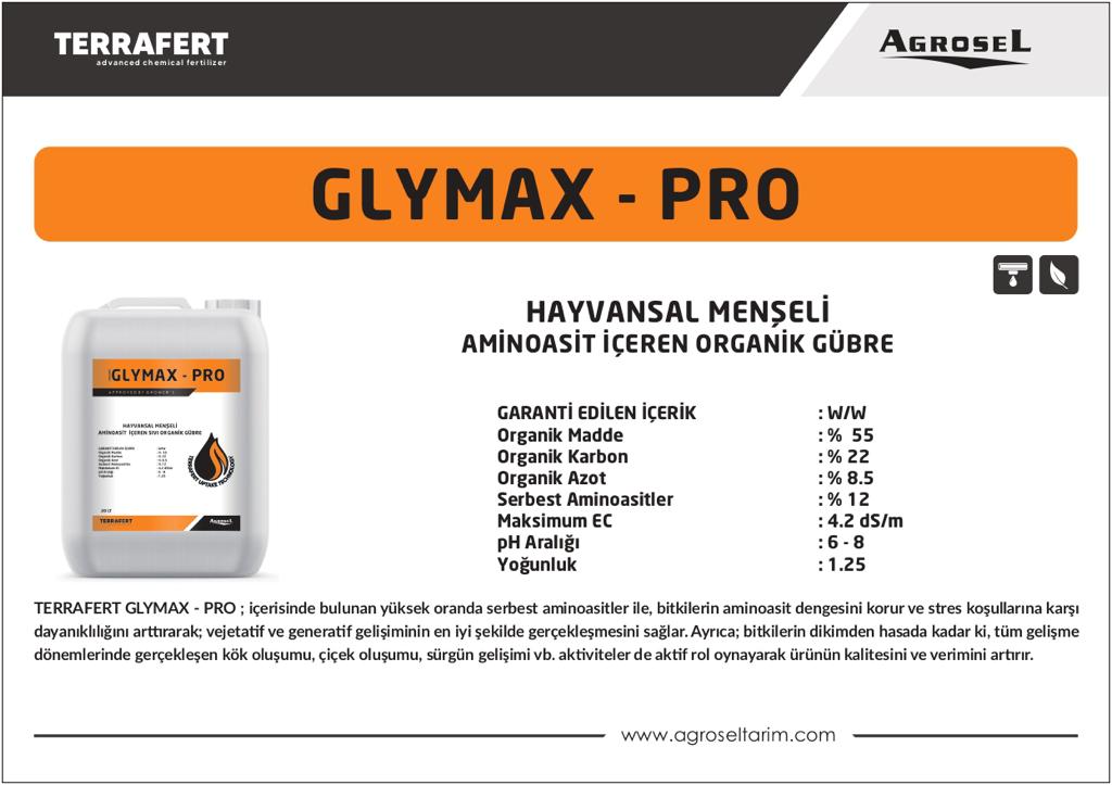 Label 1