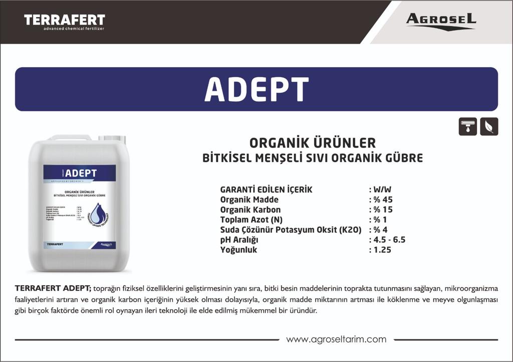 Label 1