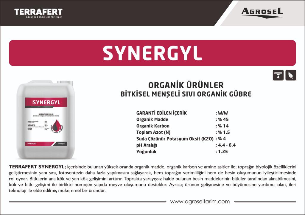 Label 1