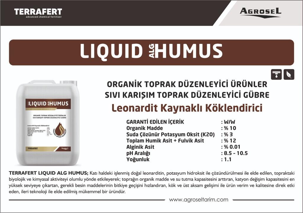 Label 1