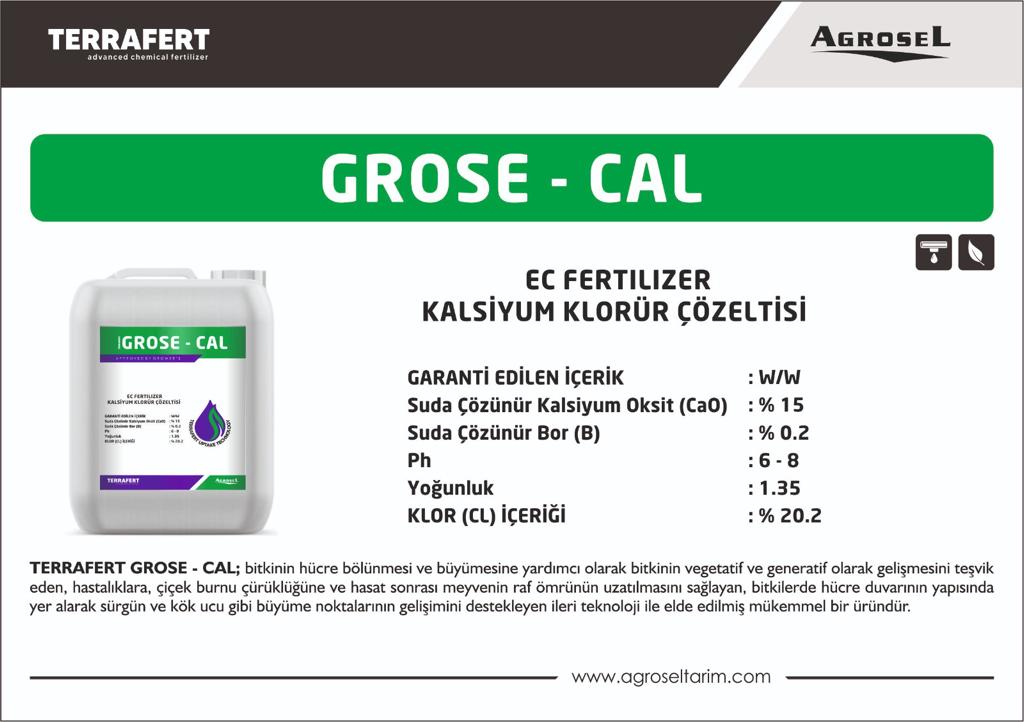 Label 1