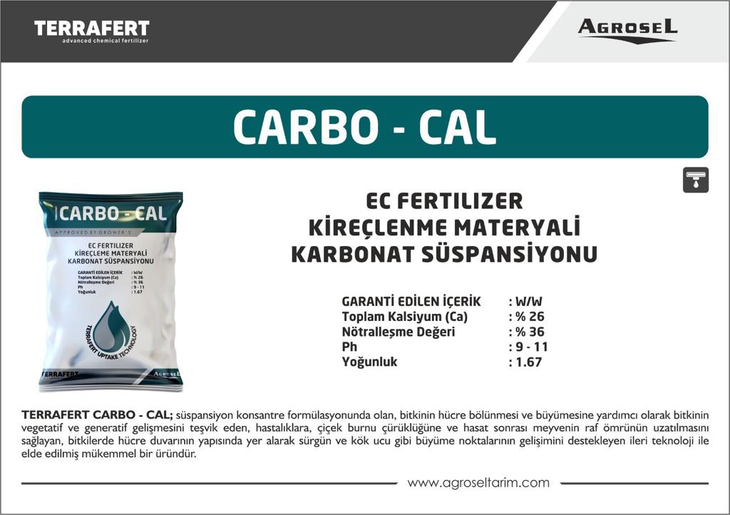 Label 1