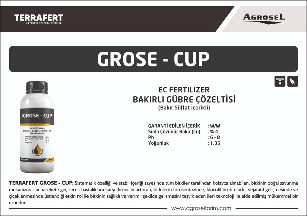 Label 1