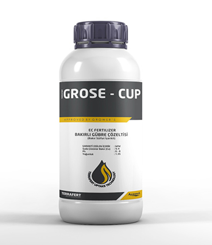Terrafert Grose - Cup