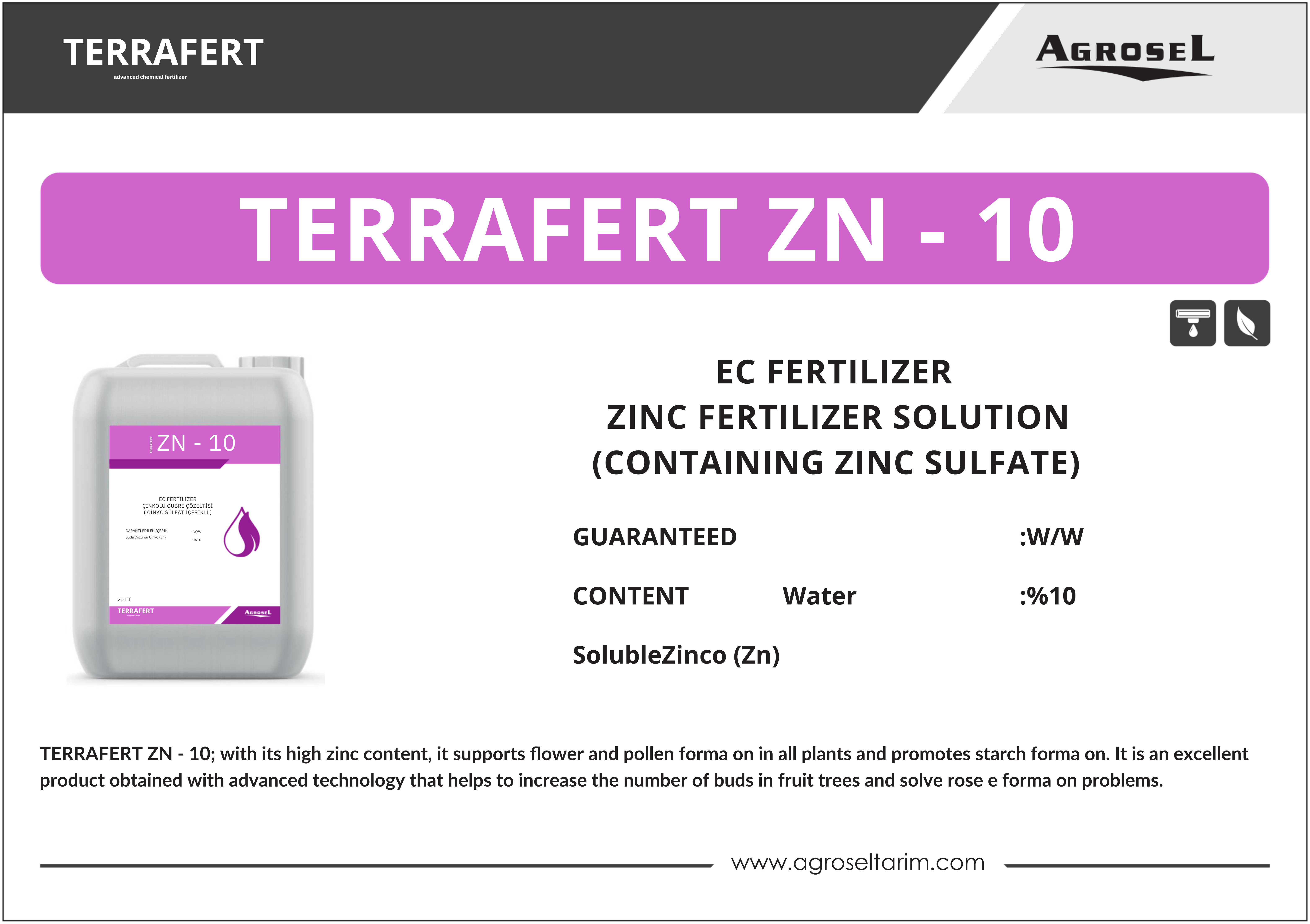 Label 1
