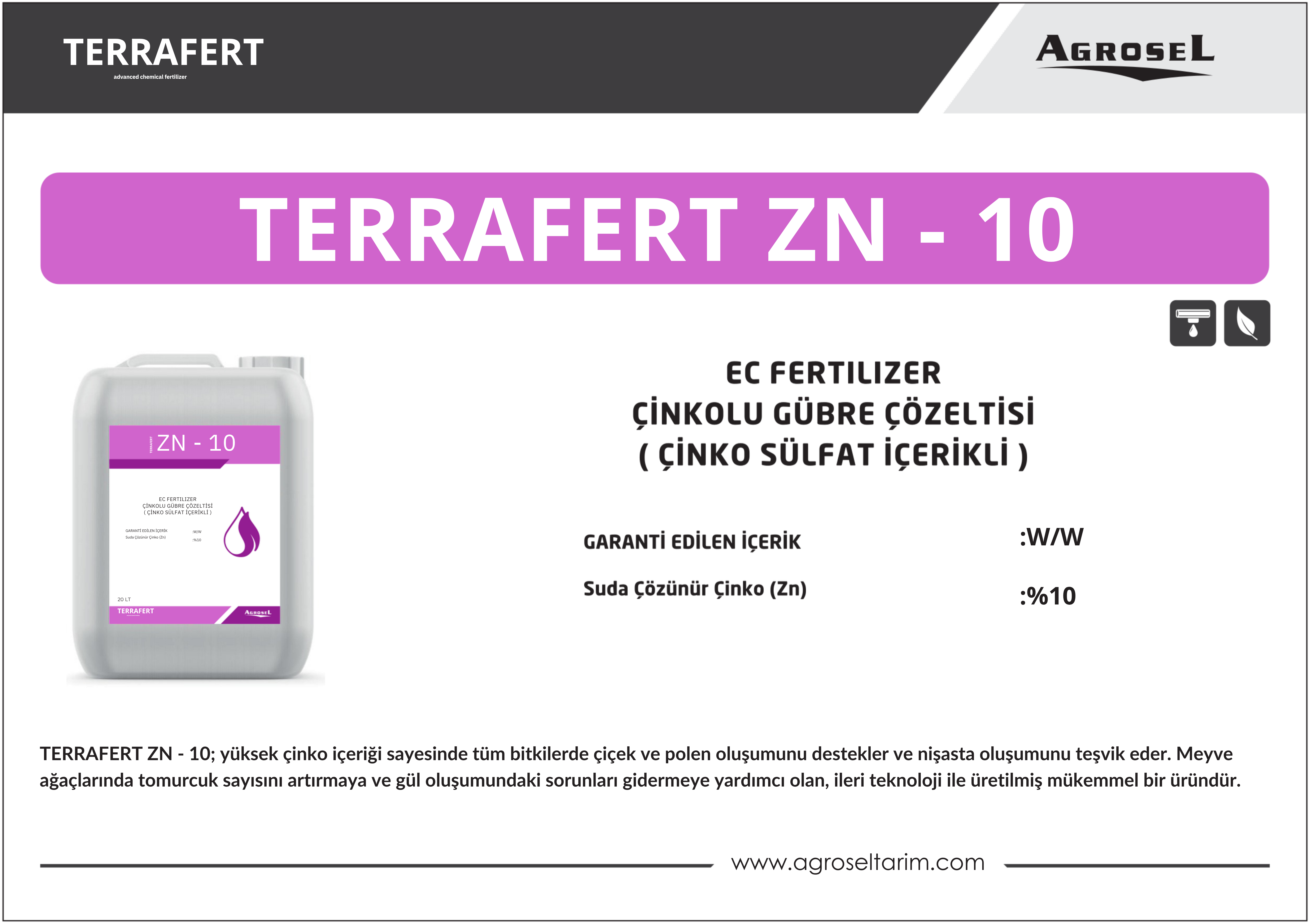 Label 1