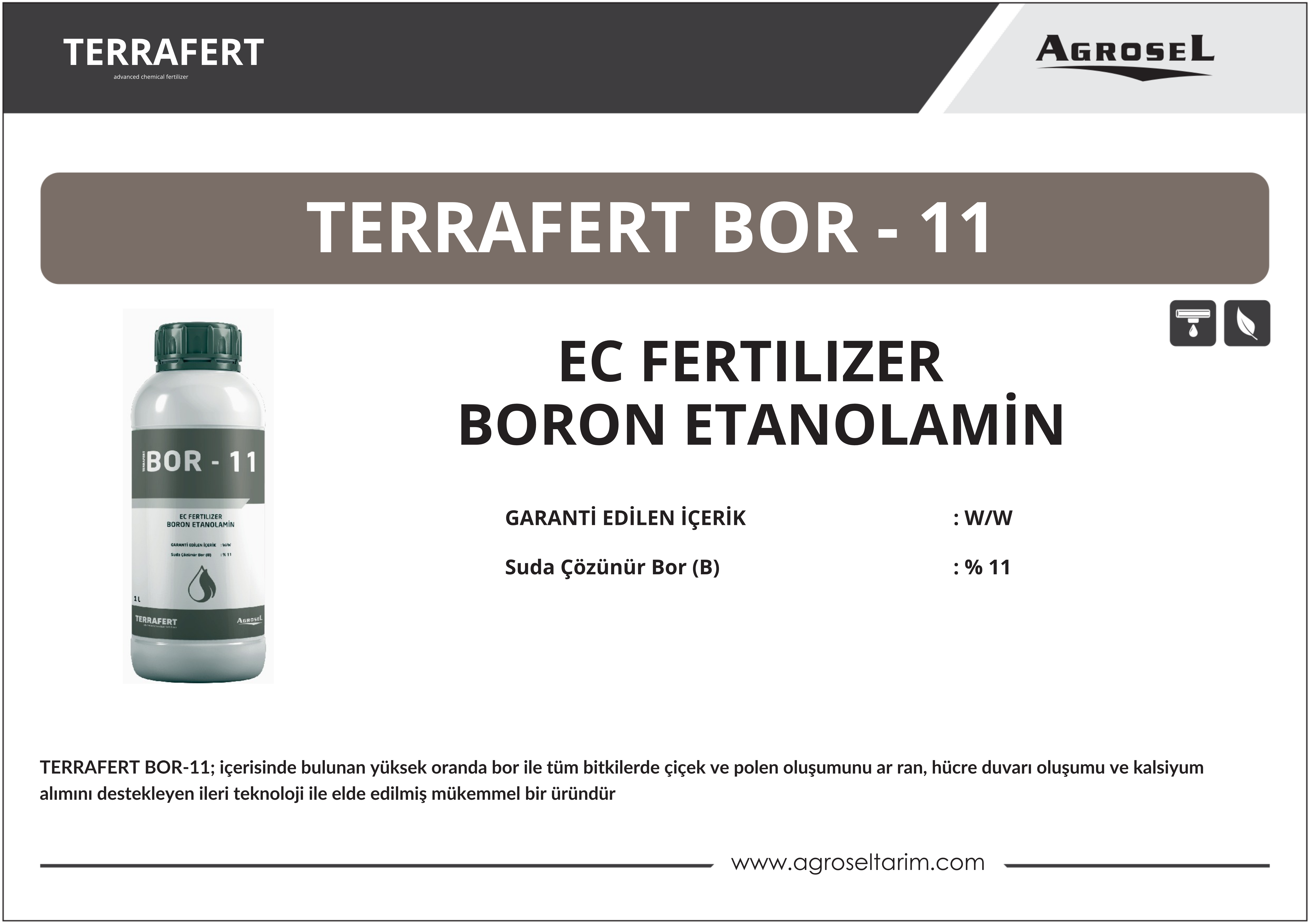 Label 1